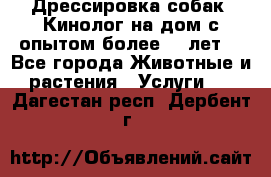 Дрессировка собак (Кинолог на дом с опытом более 10 лет) - Все города Животные и растения » Услуги   . Дагестан респ.,Дербент г.